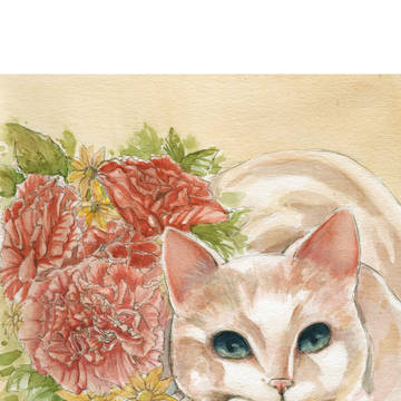Cat and Carnation
