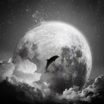 MoonLight