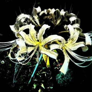 【フリー素材】彼岸花　２