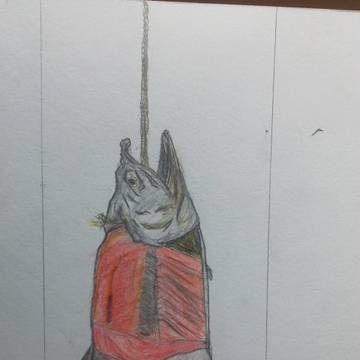 鮭