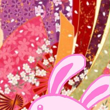 めいこいウサギ(ホーム画)