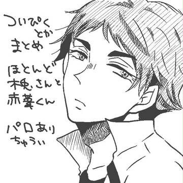 ついぴくまとめ