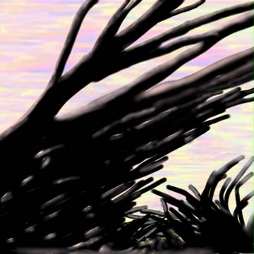 夕焼け　錆樹
