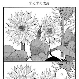 再録詰め【ウサみさ】