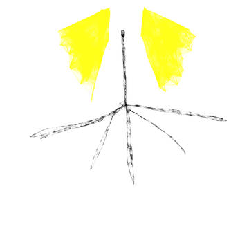 路
