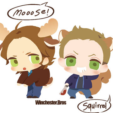 SPNログ