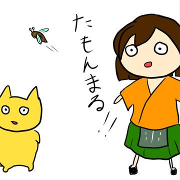 飛龍