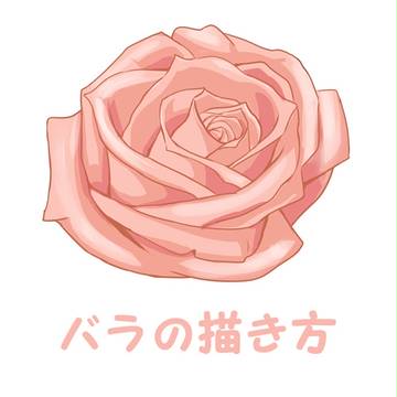 バラの描き方
