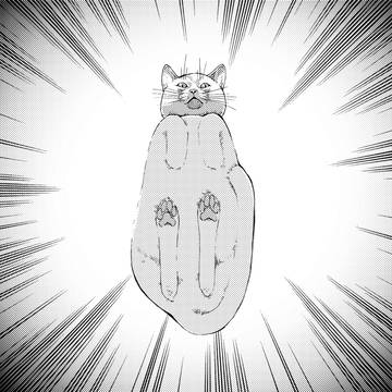 007猫