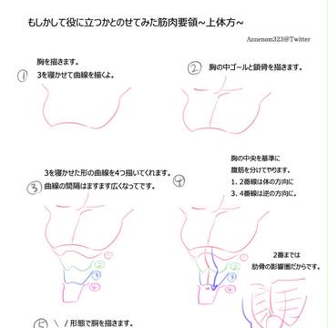 上体筋肉を描くこと