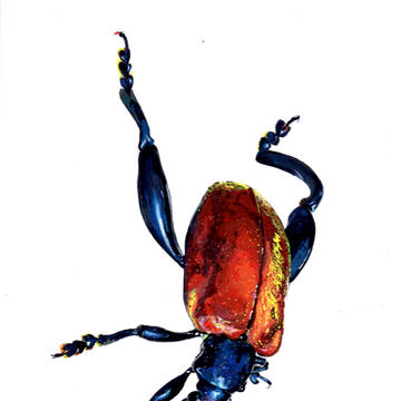 スーパーリアルイラスト