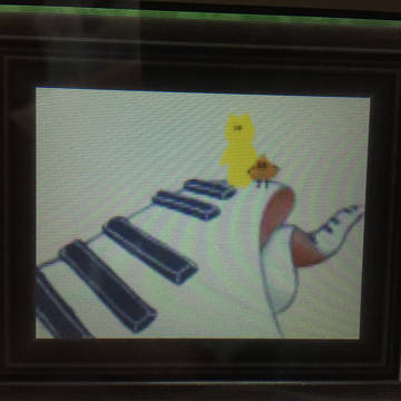 ピアノの上を！