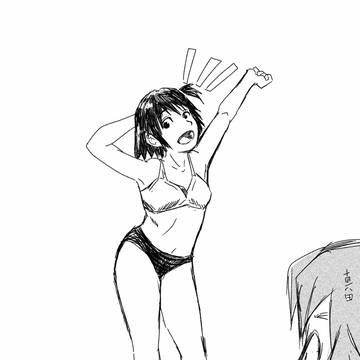 海辺の歩鳥