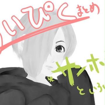 ついぴく　まとめ