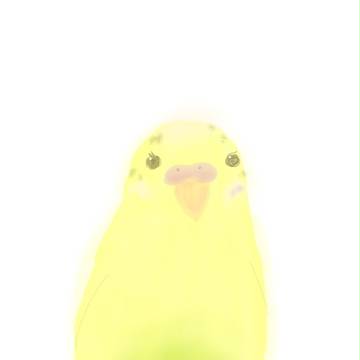 うちん家のインコさん