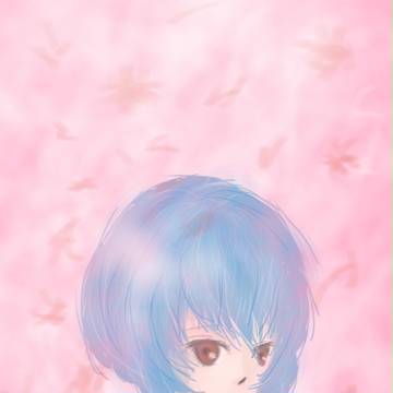 綾波、桜