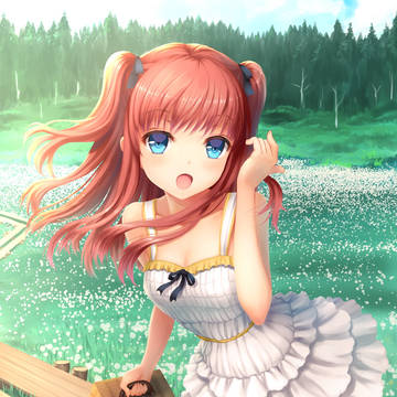初夏の高原でピクニック