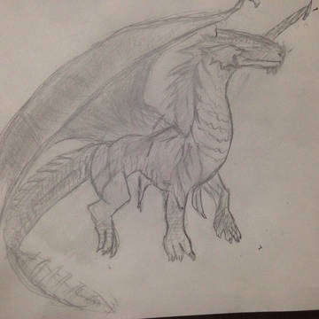 模写