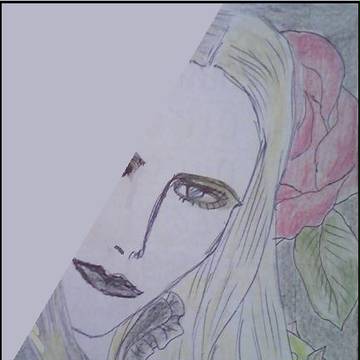 男と薔薇