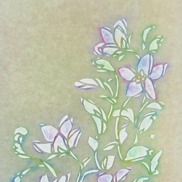 紫の花