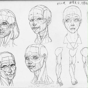 sketch