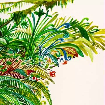 热带雨林场景Rainforest