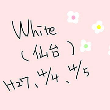 ＷＨＩＴＥ　２７０４０４　２７０４０５