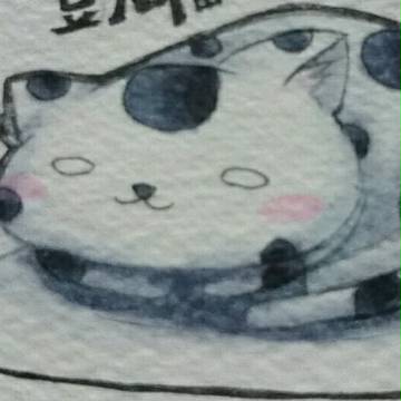 豆大福猫