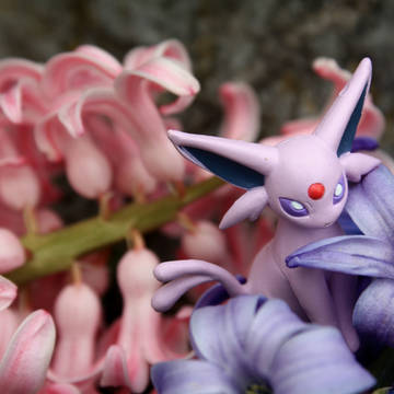 Eeveelutions in Bloom