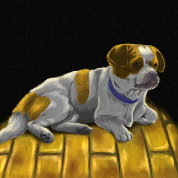 犬