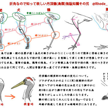 丹頂鶴丸の足とか