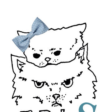 猫