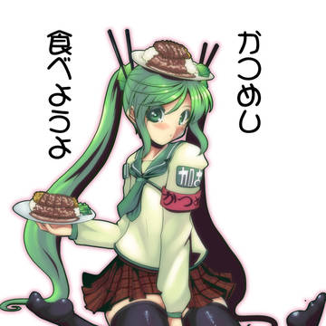 かつめしちゃん2014色々