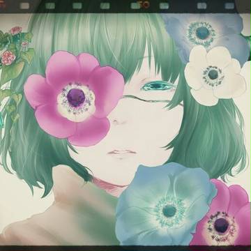 Anemone