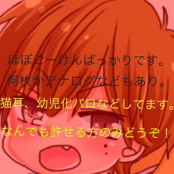 いろいろつめ