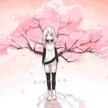 花は桜木、人は君