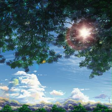 Afternoon Park