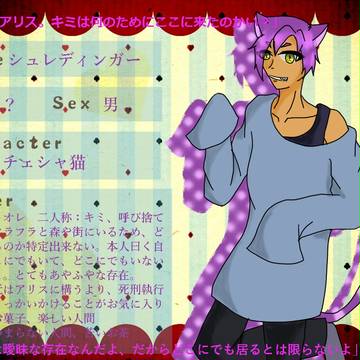 【絵師アリ】シュレディンガー【キャラシ】