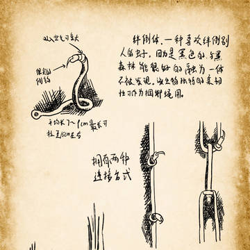 【PFT】暗い森の学者的笔记