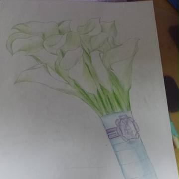 彩铅画