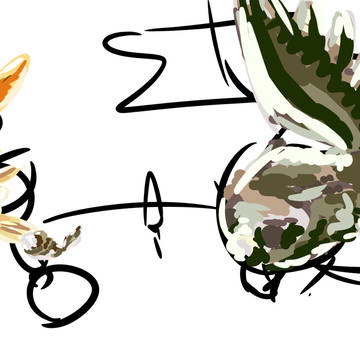 練習