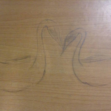 Swans