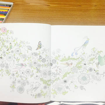大人のぬりえ(途中) おとぎ話のぬりえブック