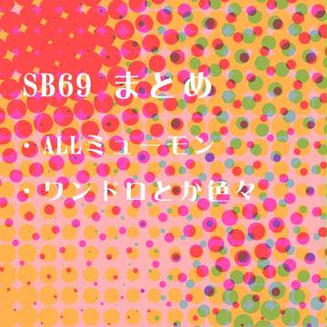SB69詰め