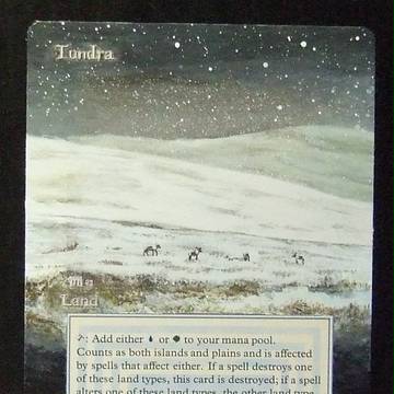 【拡張アート】Tundra