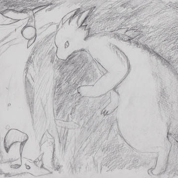 夜の森