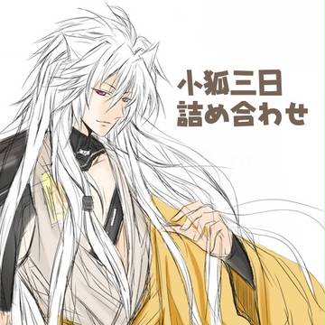 小狐三日いろいろ
