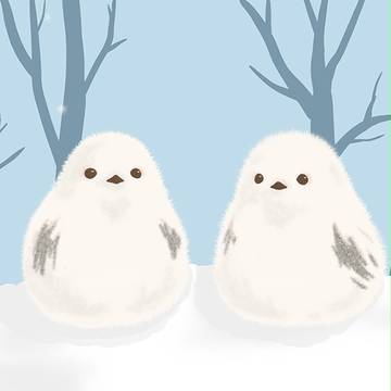 シマエナガ