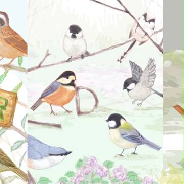 野鳥讃頌