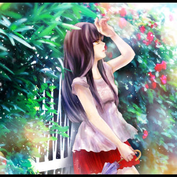 ばらの花